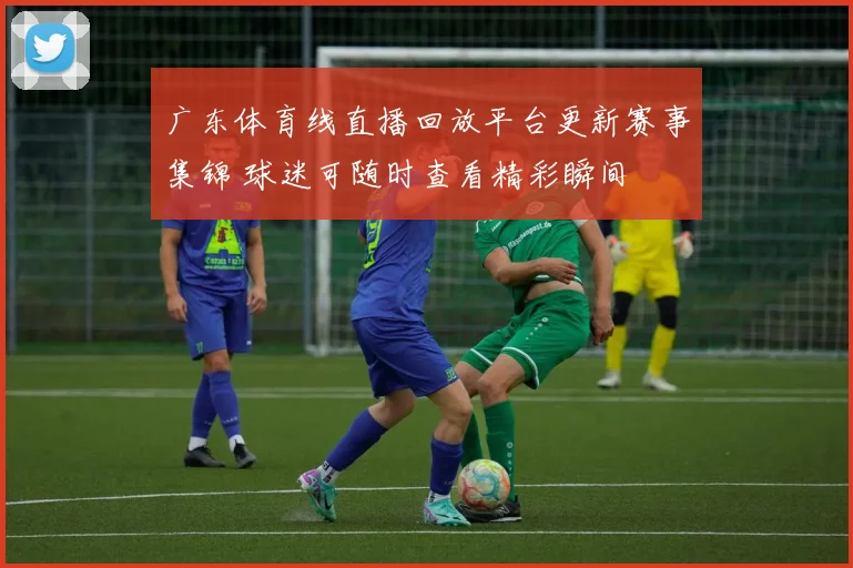 广东体育线直播回放平台更新赛事集锦 球迷可随时查看精彩瞬间